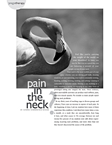 Pain in the Neck